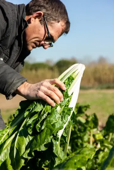 Una foto de uno de nuestros granjeros