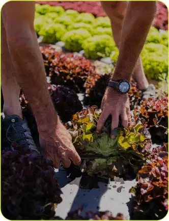 Una foto de uno de nuestros granjeros