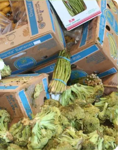 Desperdicio alimentario TALKUAL