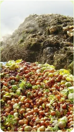 Desperdicio alimentario TALKUAL