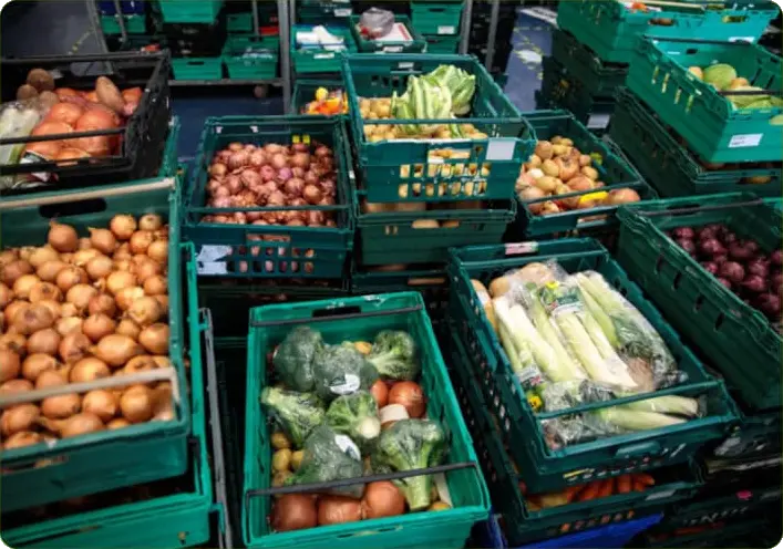 Desperdicio alimentario TALKUAL